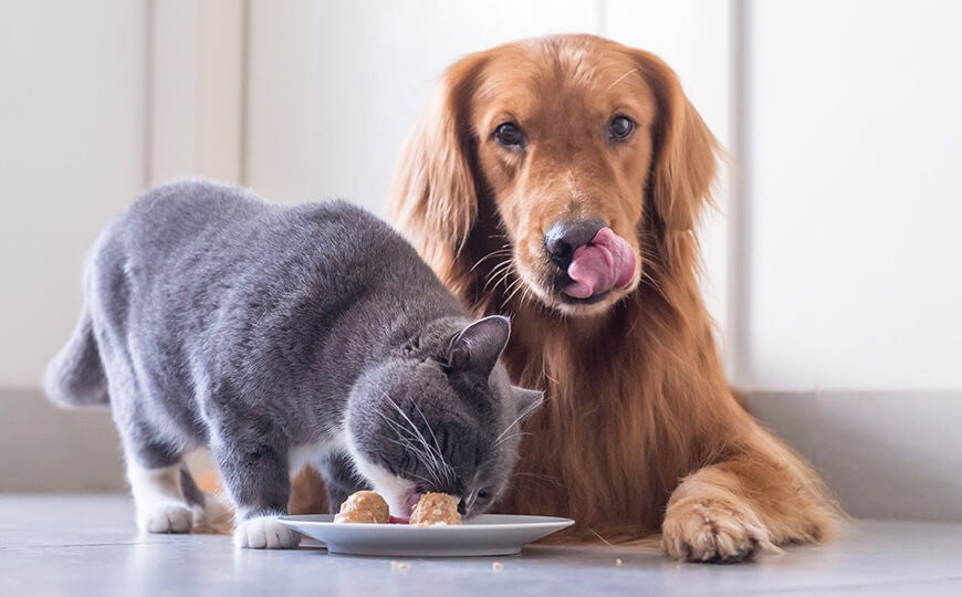 Remaining essentially