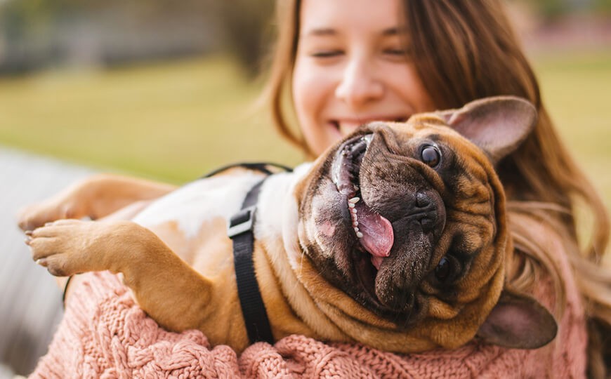 Donec tellus Nulla lorem